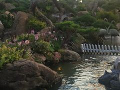 -罗红摄影艺术馆