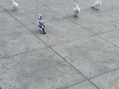 -海河外滩公园