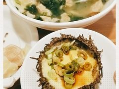 -海胆小馆(东北水饺·春柳店)