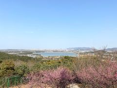 -香雪海