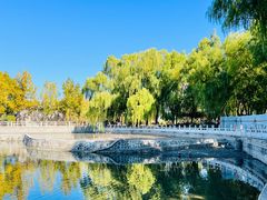 -莲花池公园