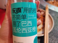 -二胖家铁锅炖大鹅(双井店)
