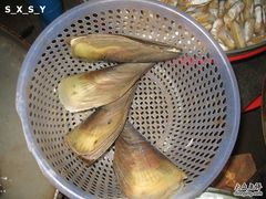 -板桥海鲜广场(文明东店)