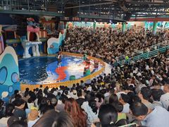 -海合安武汉极地海洋公园