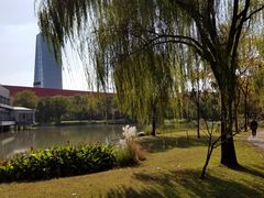 -中国浦东干部学院