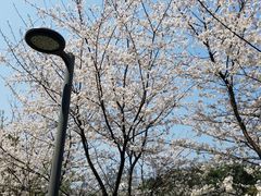 -两江幸福广场