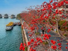 -东山湖温泉度假村
