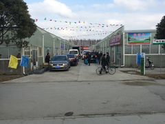 -龙大花卉苗木市场