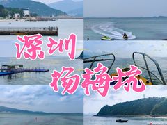 -杨梅坑