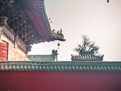 -报恩寺(平武县)