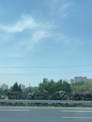 -北京郡王府饭店·宴会厅