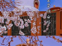 -北海公园