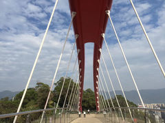 -金鸡山公园