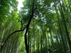 -杭州黄龙洞