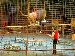 -珠海横琴长隆《卡卡虎奇遇记》