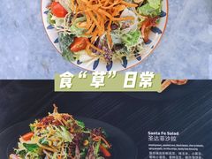 圣达菲沙拉-盐说Salt Talk北美风味西餐厅(海上世界店)