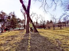 -晋祠公园
