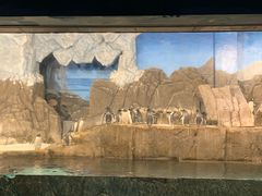 -成都浩海立方海洋公园