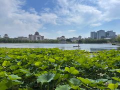 -莲花池公园