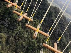 -梦幻奥陶纪景区