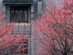 -紫阳古街
