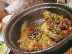 旱蒸剑骨鱼-金龙寨(解西店)