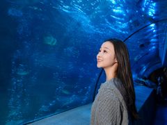 -太平洋海底世界