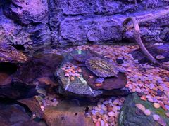 -上海海洋水族馆