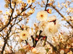 -蜀冈西峰生态公园