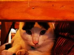 -BUND·FIVE外滩5号(天际店)