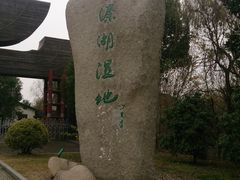 溱湖国家湿地公园05-溱湖国家湿地公园