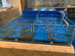 -株洲大汉希尔顿酒店·香全日制自助餐厅