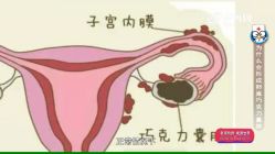 -邢台妇产医院