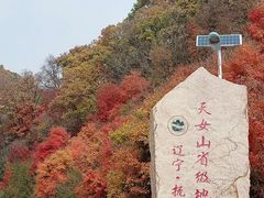 -天女山森林公园