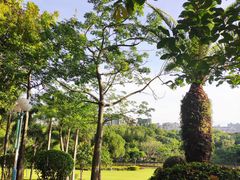 -深圳龙潭公园