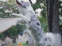 -Supine Bistro溯泮餐厅