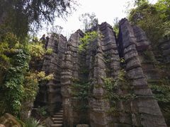 -梭布垭石林景区