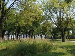 景点-西安世博园