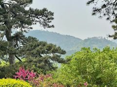-香山公园