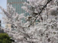 -静安雕塑公园