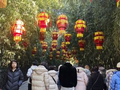 -红螺寺