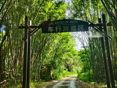 -海南热带野生动植物园