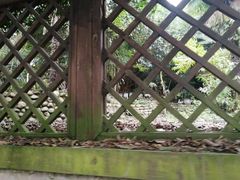 -三圣花乡旅游区