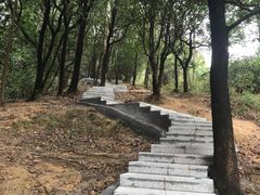 -火炉山森林公园