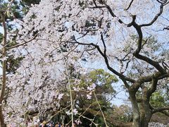 -京都御所
