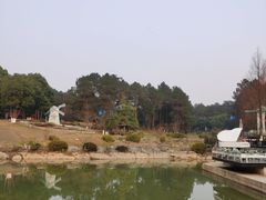 -铁山坪森林公园