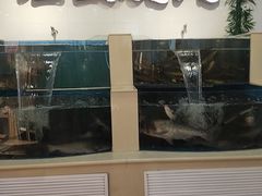 -屯老二农家铁锅炖·行业领军者(刘园店)