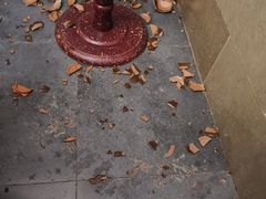 -巴人堂(女儿城店)