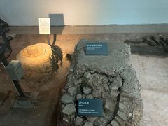 -南越王博物院(王宫展区)