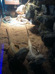 -酷嗒动物文化乐园(cutezoo西溪乐天城店)